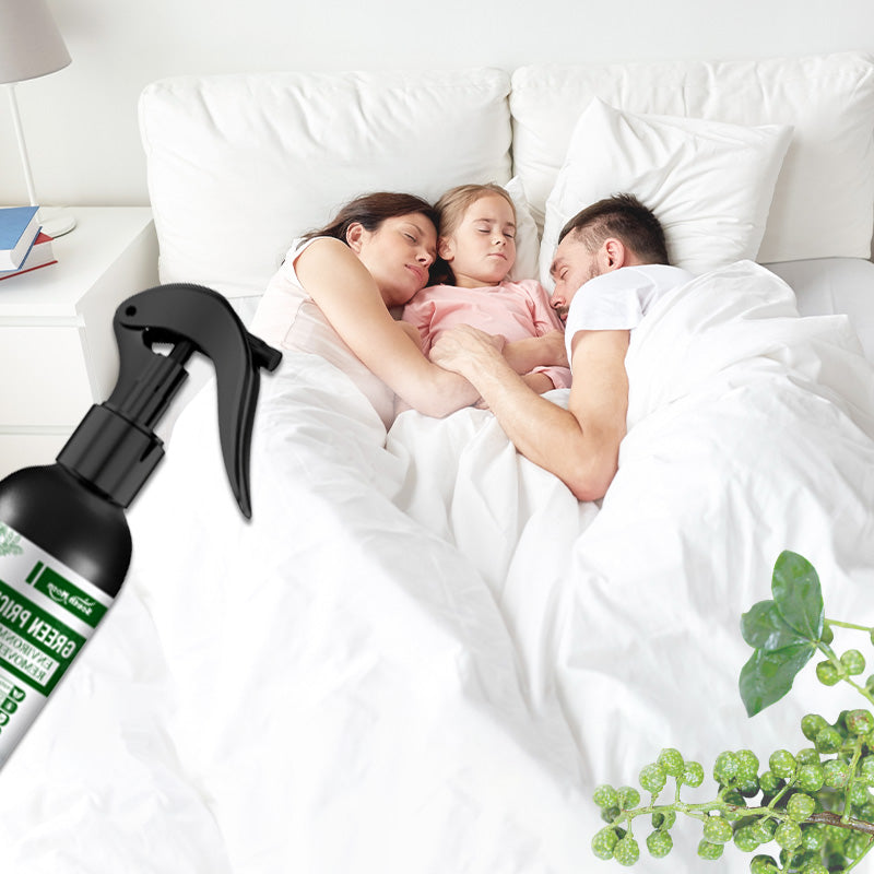 ☄️Spring Specials🎉 Leistungsstarkes Milbenentfernungsspray - Tiefenreinigung, Schutz der Gesundheit!