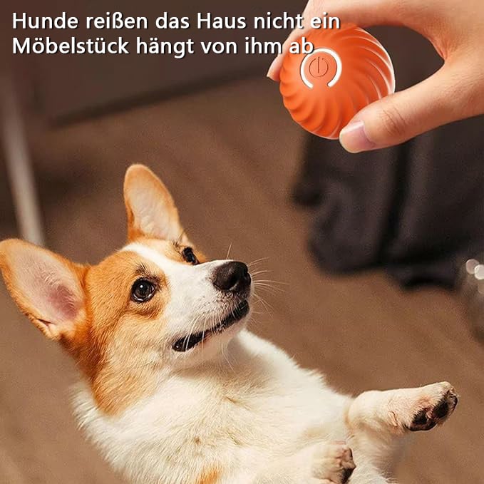 đ Chewie Viral Springball