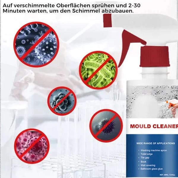 Schimmelentferner  Reinigungsschaum