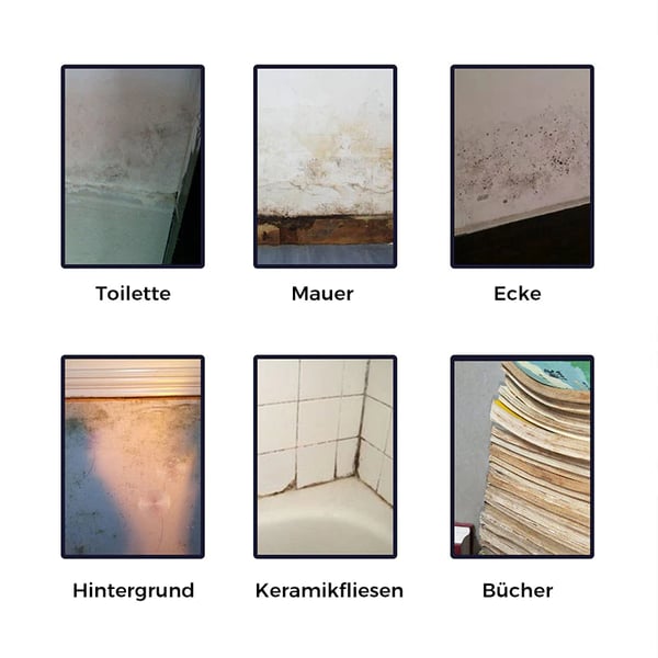 Schimmelentferner  Reinigungsschaum