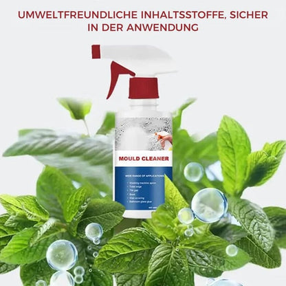 Schimmelentferner  Reinigungsschaum