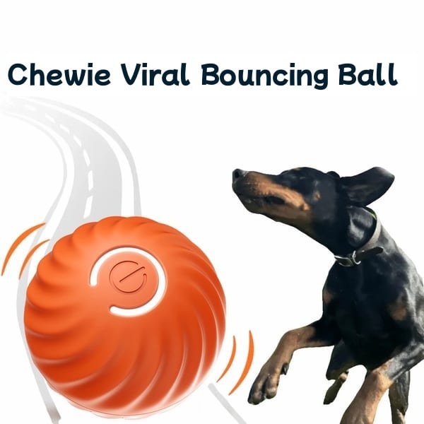 🎄 Chewie Viral Springball