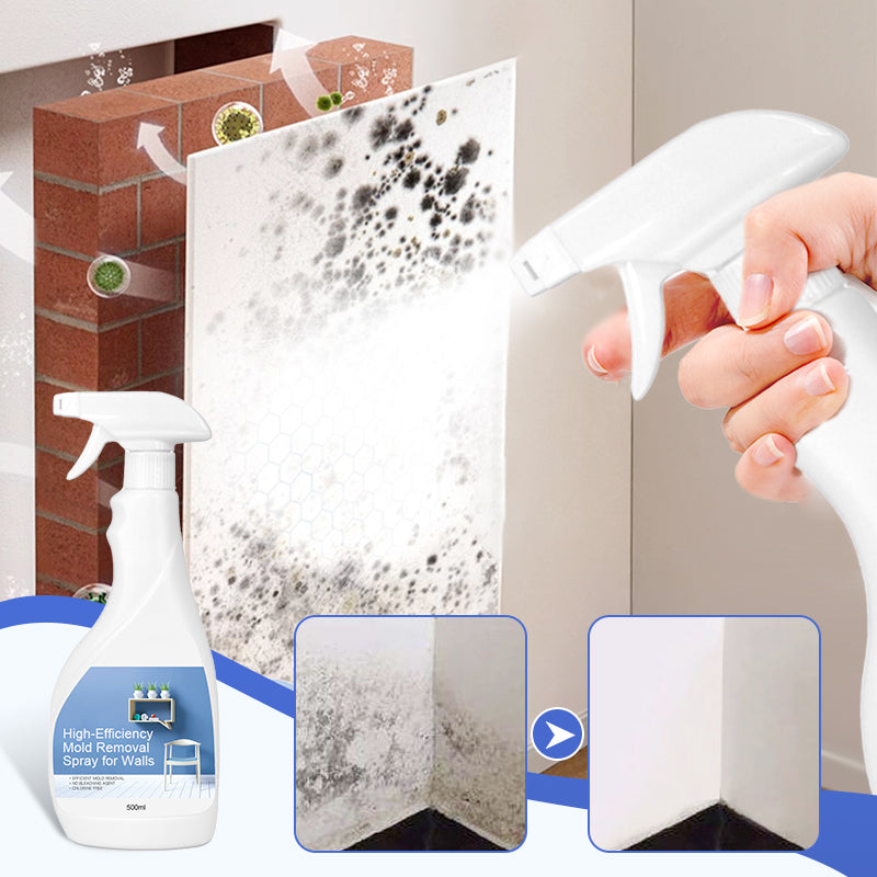 High-Efficiency Mold Removal Spray for Walls