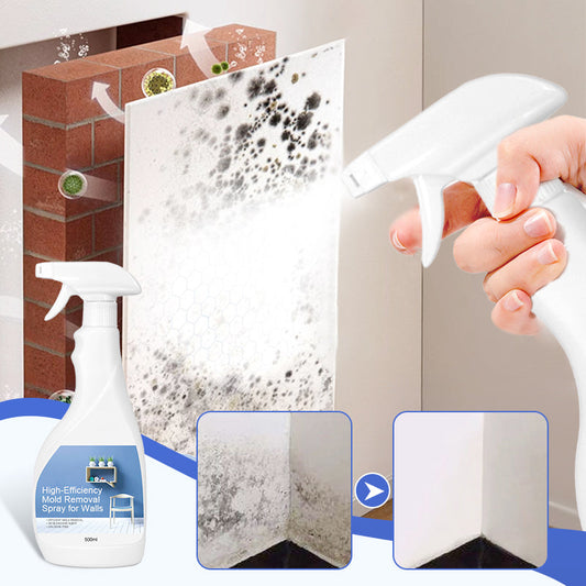 High-Efficiency Mold Removal Spray for Walls
