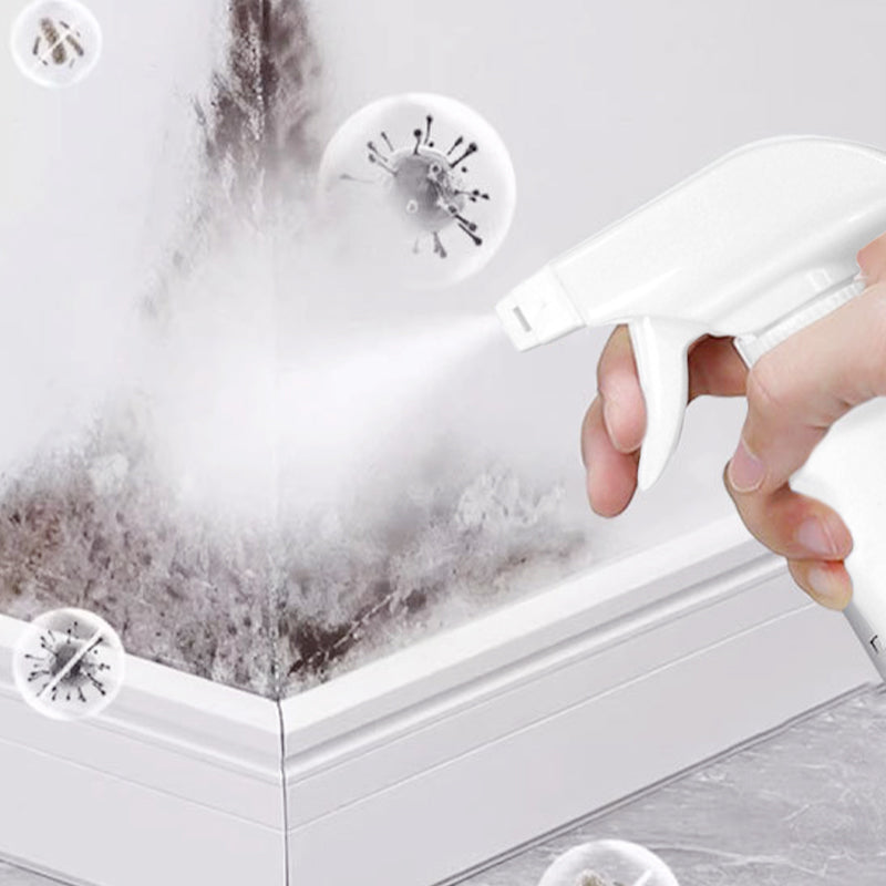 High-Efficiency Mold Removal Spray for Walls