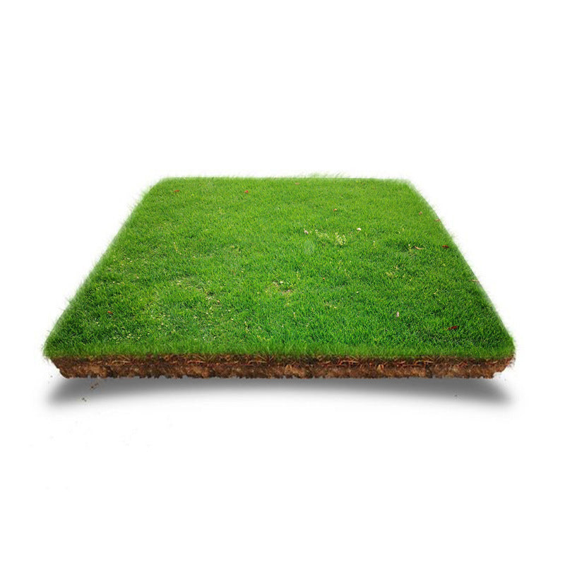 Grassamen für Rasen und Golfplatz