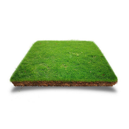 Grassamen für Rasen und Golfplatz