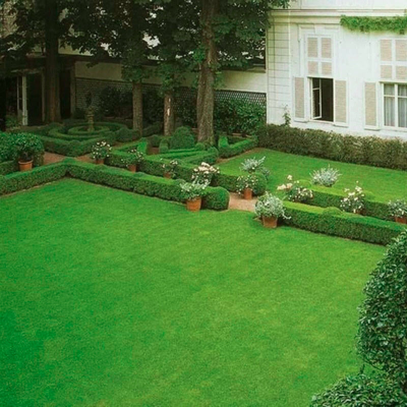Grassamen für Rasen und Golfplatz