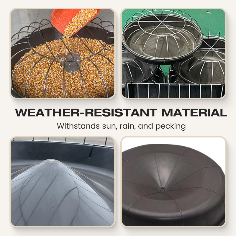 Runde Futterstelle mit großem Fassungsvermögen für Geflügel