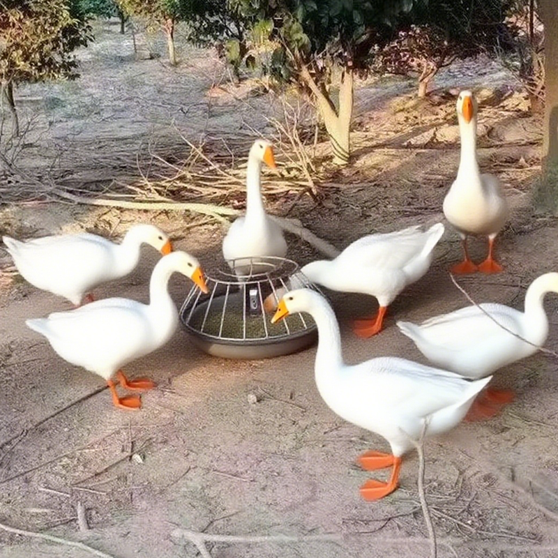 Runde Futterstelle mit großem Fassungsvermögen für Geflügel